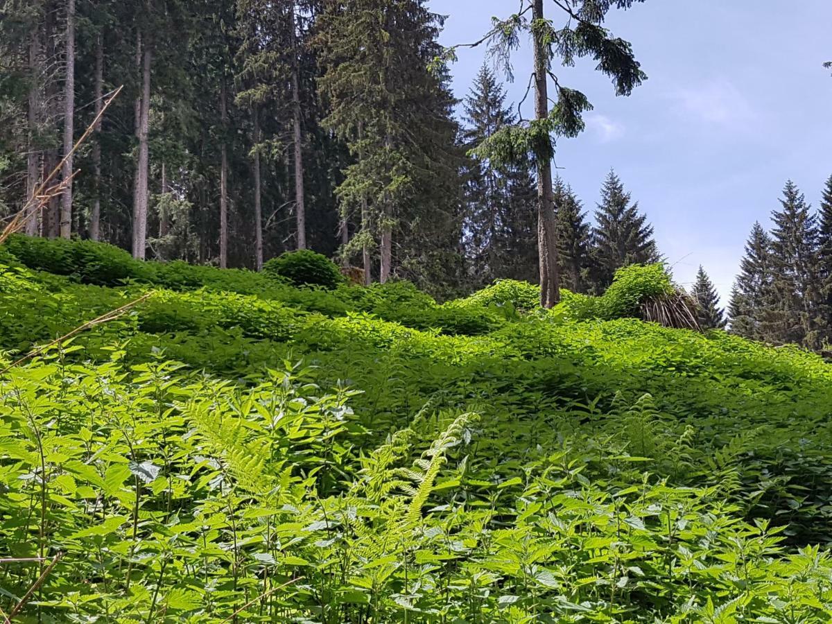 Appartements Burtscher Klosterle am Arlberg Eksteriør bilde