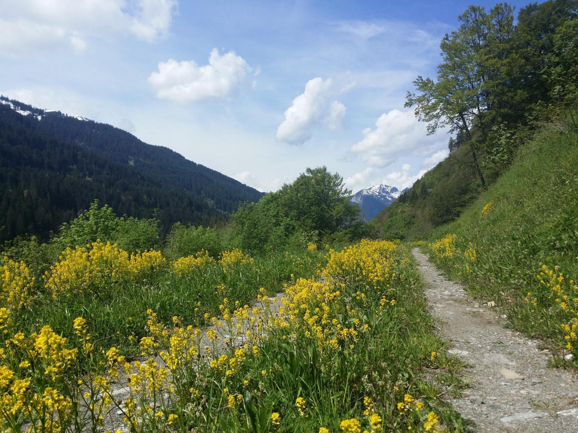 Appartements Burtscher Klosterle am Arlberg Eksteriør bilde